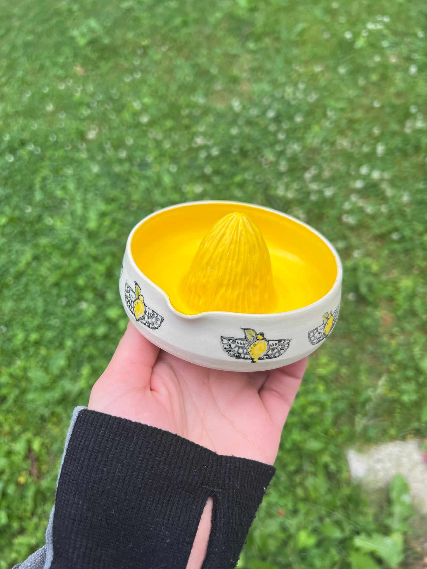 Lemon Juicer