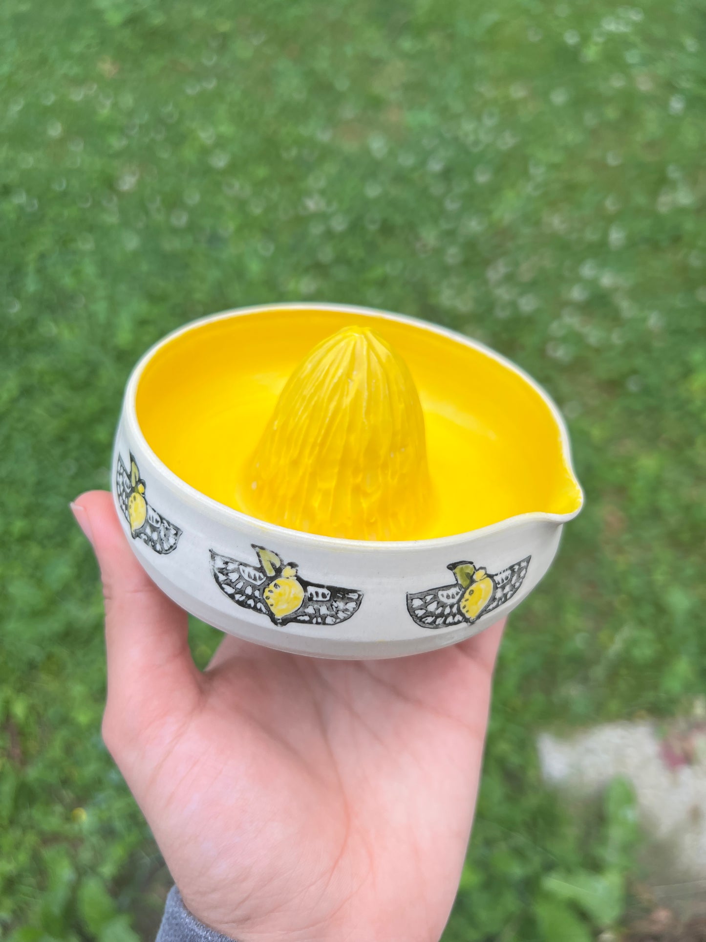 Lemon Juicer