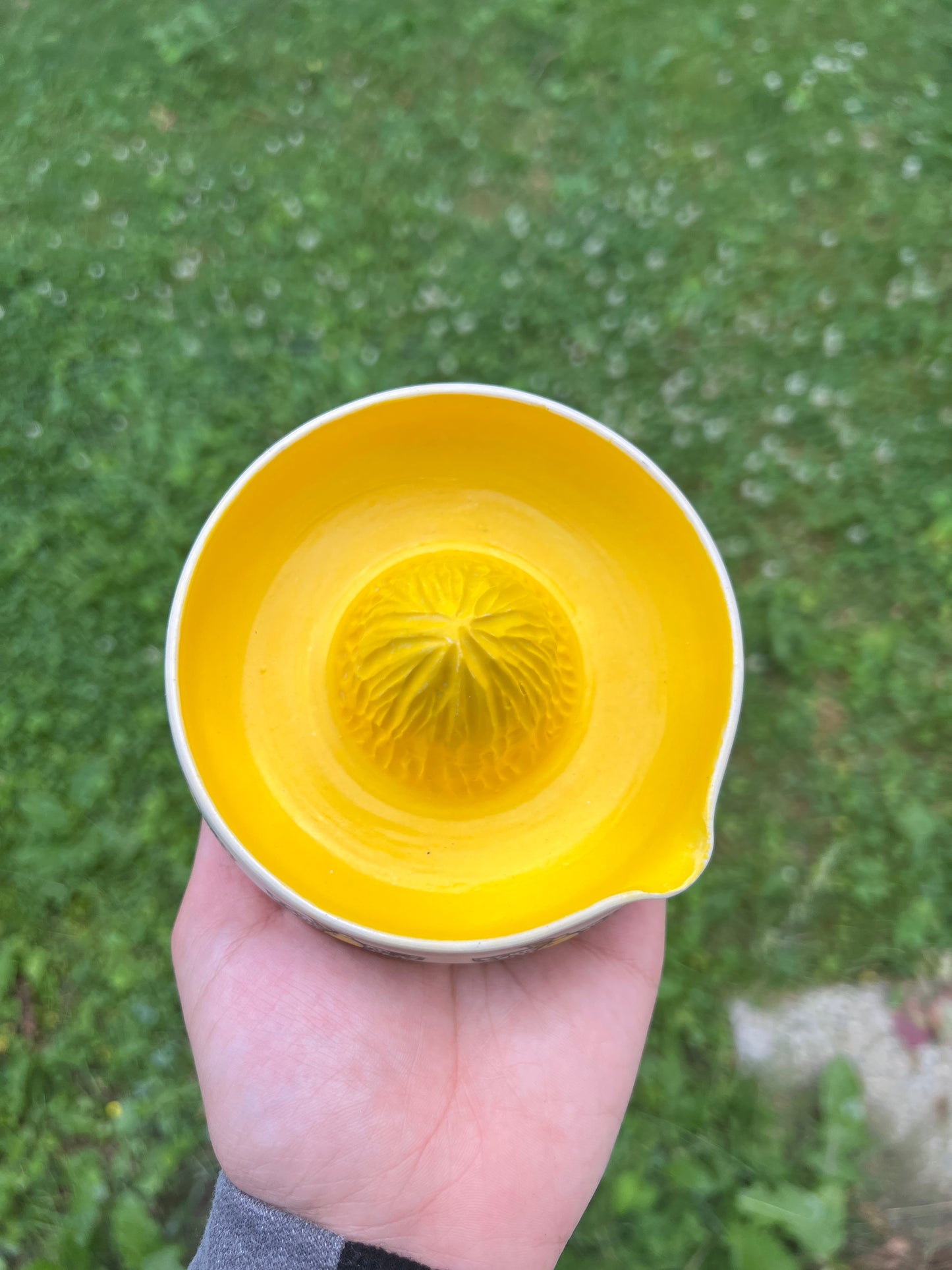 Lemon Juicer