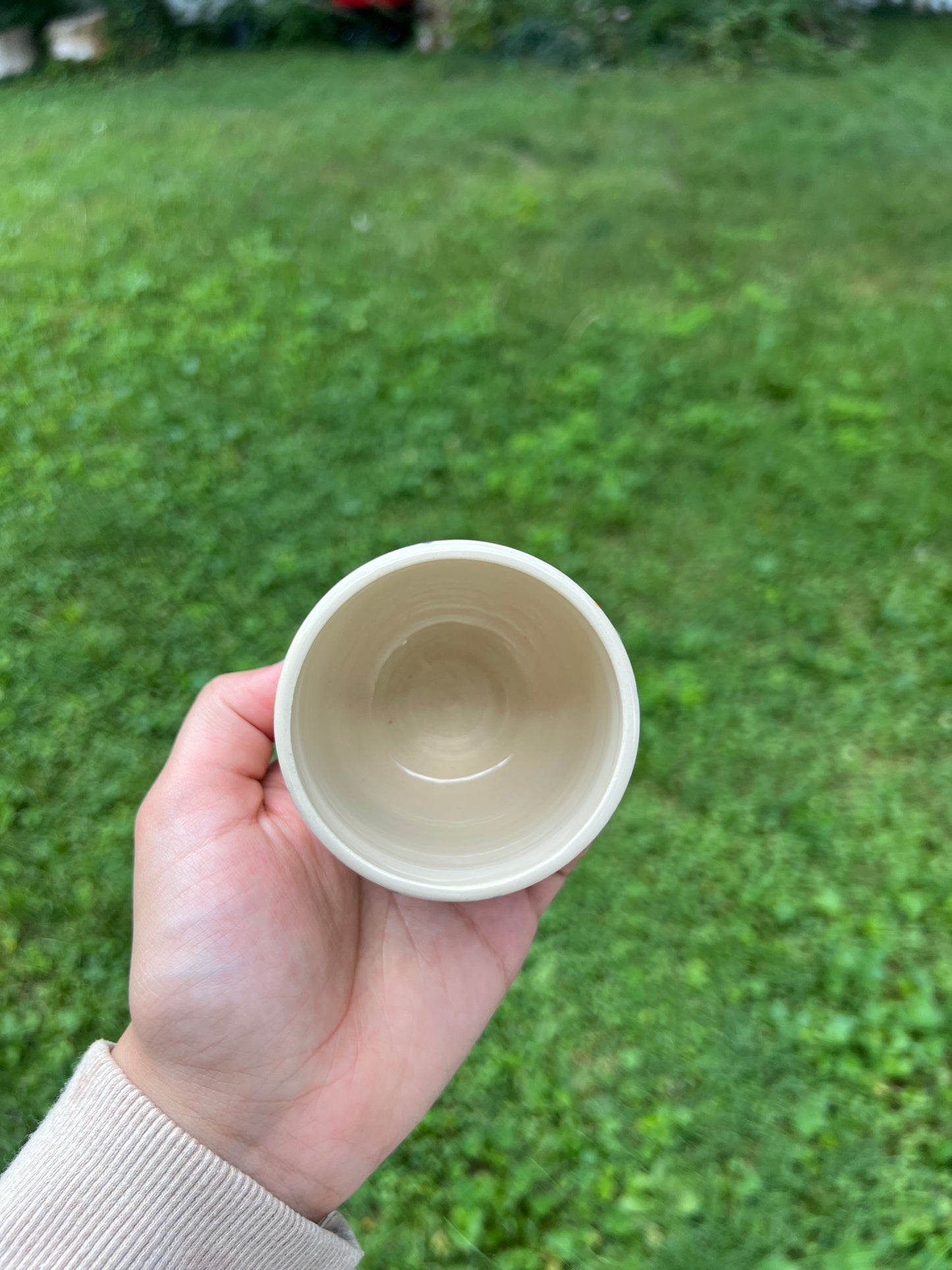 Grape Vines Mini cups